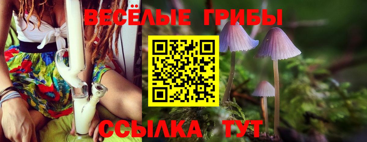 Сегежа  Псилоцибиновые грибы мицелий  Вход с VPN  Псилоцибиновые грибы мухоморы 
